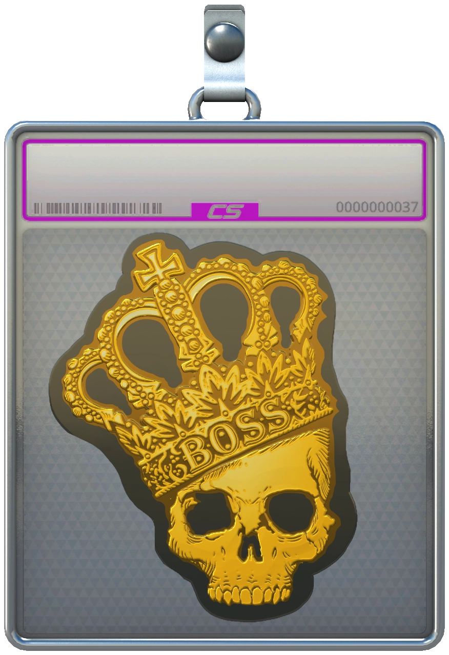 Sticker Slab CS2 charm pattern 37