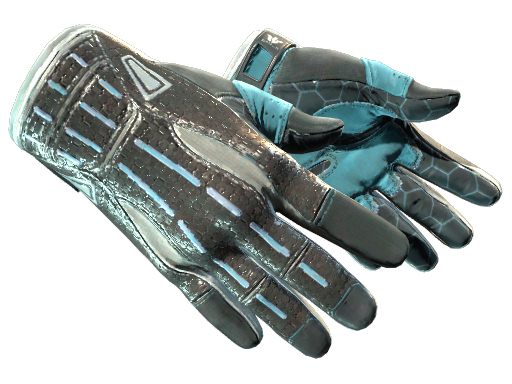 Sport Gloves