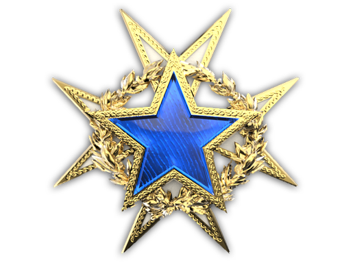 Service Medal