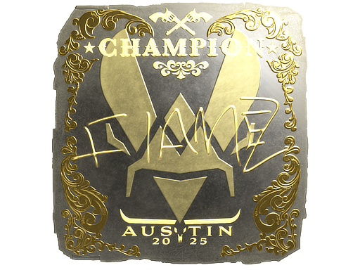 FlameZ (Gold, Champion) | Austin 2025