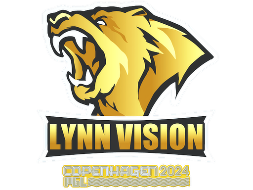 Lynn Vision