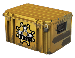 Revolver Case