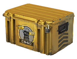 Glove Case