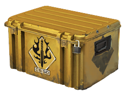 Spectrum Case
