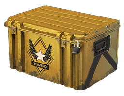 Winter Offensive Weapon Case