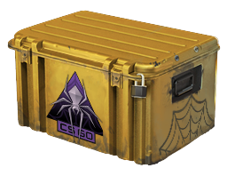 Shattered Web Case