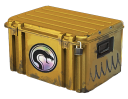 Recoil Case