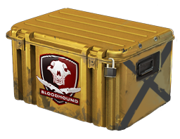 Falchion Case
