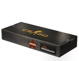 DreamHack 2014 Cache Souvenir Package