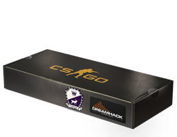 DreamHack 2014 Cobblestone Souvenir Package
