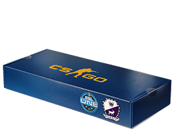 ESL One Cologne 2014 Cobblestone Souvenir Package