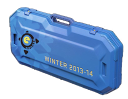 eSports 2013 Winter Case