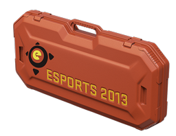 eSports 2013 Case