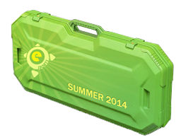 eSports 2014 Summer Case