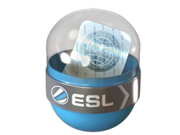 EMS Katowice 2014 Challengers