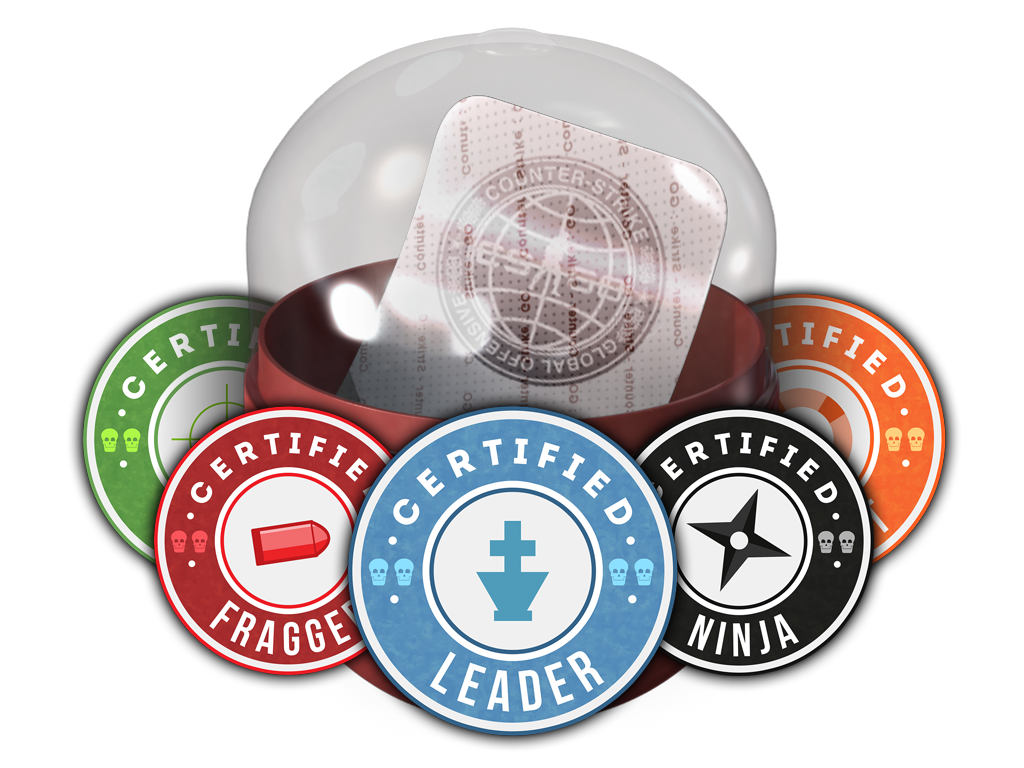 Team Roles Capsule